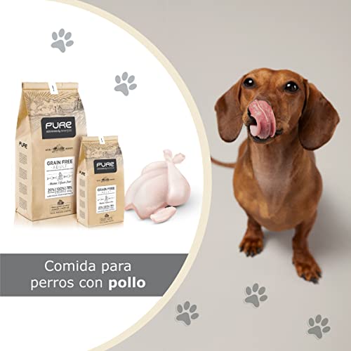 Avantis Pet Pure Grain Free Adult – Futter für Erwachsene Hunde Aller Rassen – 2 kg – 100% vollständiges und ausgewogenes Futter – mit Huhn und Getreide für Hunde mit Intoleranz und Allergie