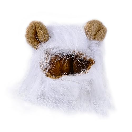 VORCOOL ybgp߉\CIĂݖXq LEȒPRXvLbv  ΍Ǝʐ^Be