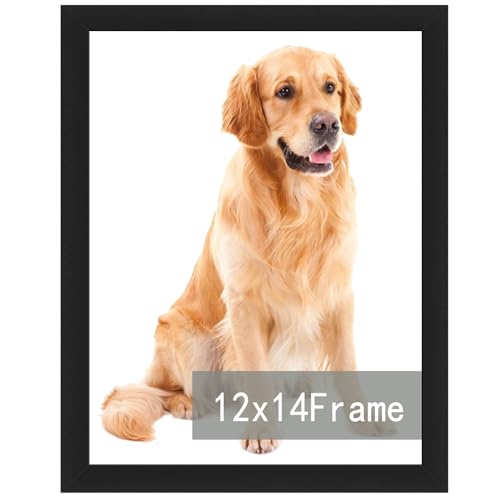 RUN HELIX 12x14 Picture Frame for 12by14 Poster Photo Canvas Certificate Black High Transparent Poster Frame Wall Desktop Horizontal Vertical 12 x 14,Black