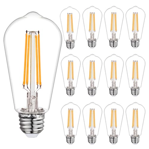ST19 LED Light Bulbs