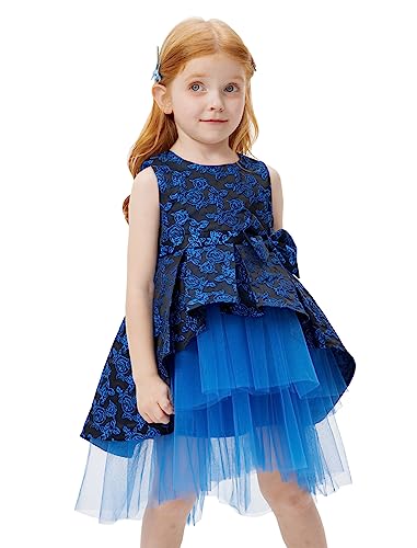 Girls Foral Dress High Low Dress Jacquard Sleeveless Tiered Tulle Daily Party Wear Blue Rose
