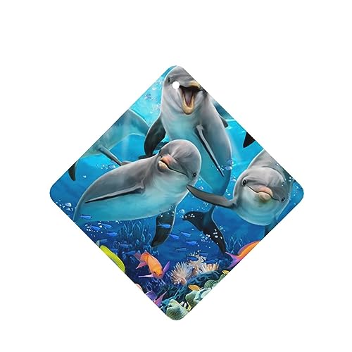 I[VhtB Looking at You ԗpF p[\iCYꂽXCX J[A}Zs[^ubg ݂艺F܃J[h [vt 4 ԂƂ̑p