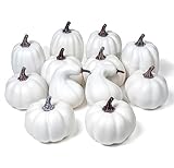 WsCrofts 12Pcs White Artificial Pumpkins, Assorted Sizes Fake Pumpkin for Fall Halloween Thanksgiving Decor