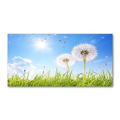 Splashback guard en verre trempé 140x70cm grand format de cuisine