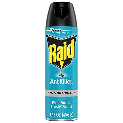 Miniatura 2 de Raid Ant Killer Spray Pine Forest, 17.5 onzas (paquete de 4)