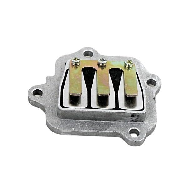 Válvula de lengüeta Yamaha PW80 soluciona pérdida de potencia 5