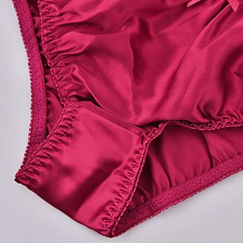 Satin Bikini Panties, 100% Silk Panties For Women (4-Pack) Large #TOP5