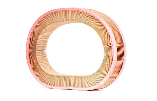 Originale Mann Filtro Aria C 37 100 per Mini