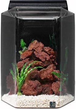 15 Gal Deluxe Hexagon Acrylic Aquarium Combo
