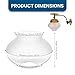 Replacement Globe for Humphrey/Paulin/M Heater/Falks Gas Lights - Diameter 5.75