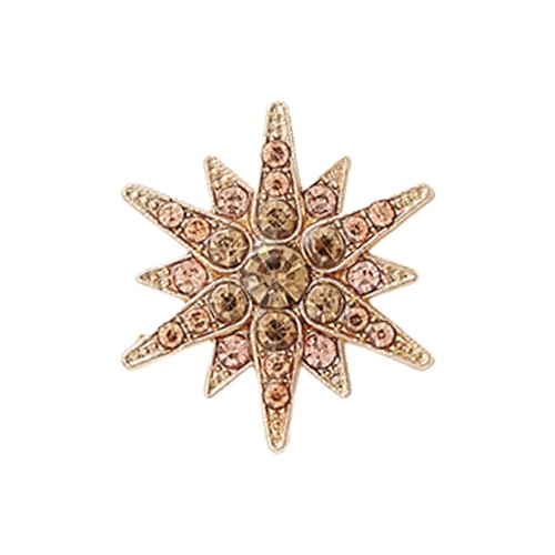 プロのワードローブ合金のための現代の六角形のブローチ