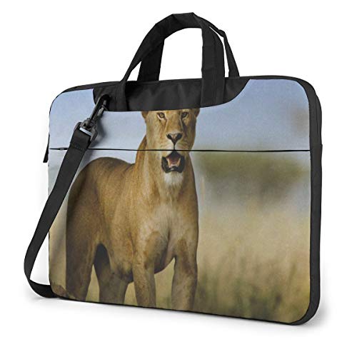 CI  I uE PCP[X m[gp\RobO bvgbv یP[X PCobO Ռz y rWlXobO nhobO u[tP[X 񂰃obO t ΂ߊ|obO 13/14/15.6C`