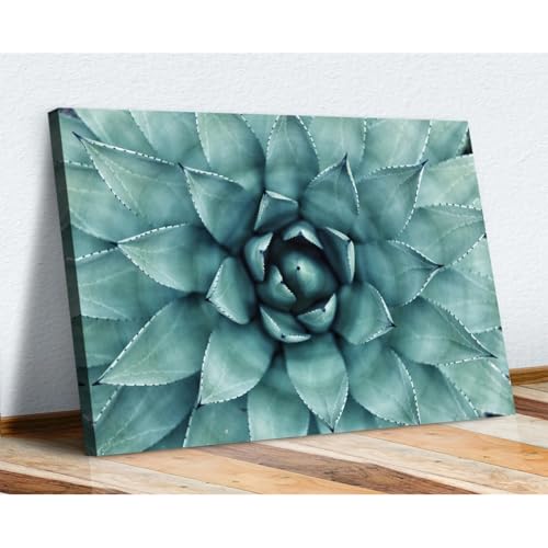 Tableau sur toile premium plante succulente verte décoration murale