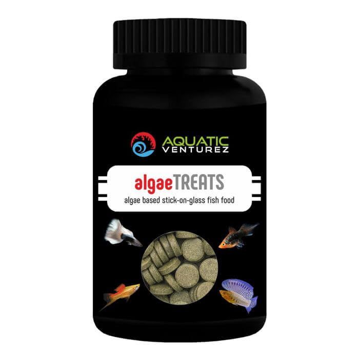 See full amazon price history chart for Aquatic Venturez Algae Treats - Stick ON Tablet | Size: 30 Grams | Aquarium Fish Food | Indian Fish Monsters (IFM) Aquatic Venturez Algae Treats - Stick ON Tablet | Size: 30 Grams | Aquarium Fish Food | Indian Fish Monsters (IFM) (B0CH5H43LQ) Amazon Price History, Amazon Price Tracker
