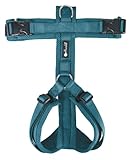 Petlando Hundegeschirr Mesh Y-Comfort – weich gepolstert, stufenlos verstellbar, besonders leicht und atmungsaktiv, fellschonend, ergonomisch – L, Petrol