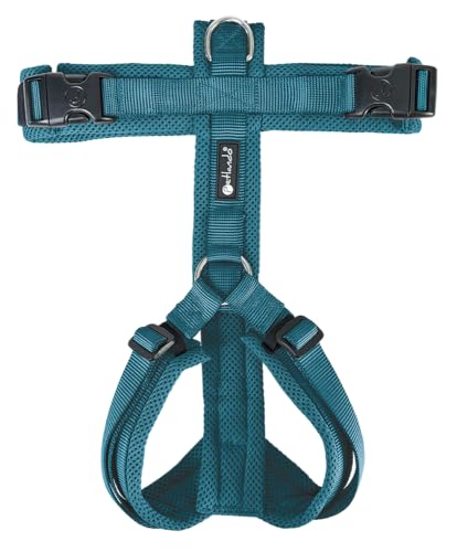 Petlando Hundegeschirr Mesh Y-Comfort – weich gepolstert, stufenlos verstellbar, besonders leicht und atmungsaktiv, fellschonend, ergonomisch – L, Petrol