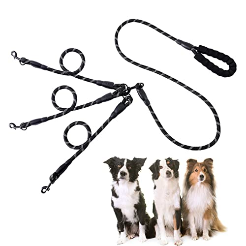 50 M Hundetrainingsleine – 2 Cm Breit, Leicht, Langlebig, Für Mehr Bewegungsfreiheit