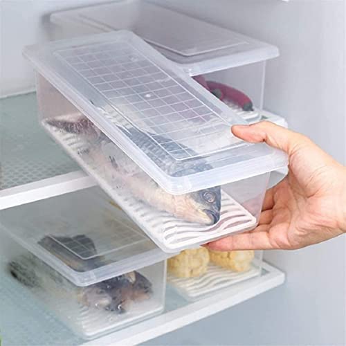Image of TASTIC Transparent Plastic Storage Containers with Lids | Fridge Storage Boxes | Fridge Organizers Storage Box Set | Fridge Storage Containers For Vegetables,Fruits,Fish |1500Ml (4)