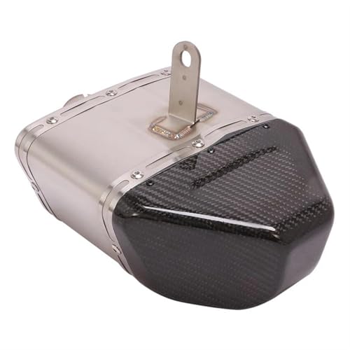 Silencieux d'échappement moto en carbone véritable pour Benelli BJ600 et TNT600 de haute qualité