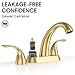 Phiestina Brushed Gold 4 Inch Centerset 2 or 3 Holes 2 Handle Bathroom Faucet, Bathroom Faucet with Copper Pop Up Drain and Water Supply Lines, BF008-5-BG