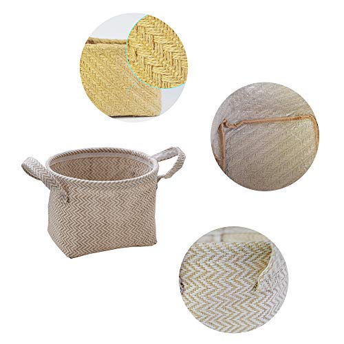 2 Pezzi Cestino Portaoggetti, Cesto portaoggetti