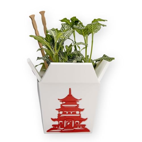 Plant Pot for Indoor Plants, Chinese Take Out Box White Whit Two Chopsticks (Free) 3D Printed -Plastic -Unique Planter for Indoor with Drainage Hole- Made in USA (White)