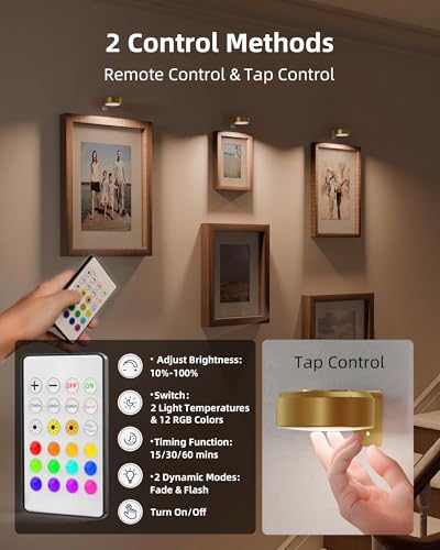 EZVALO Picture Lights for Wall, 2000mAh Rechargeable Battery Magnetic Poster Lights with 3 Color Temps & 12 RGB, Remote Dimmable Timer Painting Light, Wall Decor Light for Art Display, Frame (3 Pack)