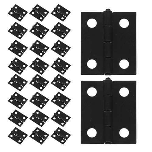 Abaodam 50 ~jgqW ^ؔp |p WG[{bNX h[nEX pϋvp[c