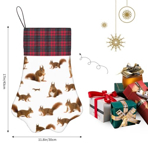 OKFSTY Niedlicher Eichhörnchen-Weihnachtsstrumpf mit Pfotenabdrücken, niedliches Haustier-Hängestrümpfe, Weihnachtsdekoration, Geschenk für Familie