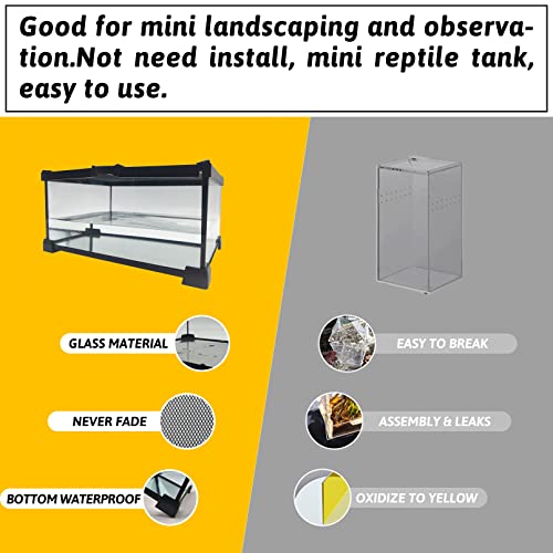 Pinvnby Mini Reptile Glass Terrarium Tank 12"X8"X6" Micro Habitat Terrarium Enclosure Amphibians Tank Cage Full View Visually Appealing For Small Reptiles, Amphibians, Spiders And Other Invertebrates #TOP3