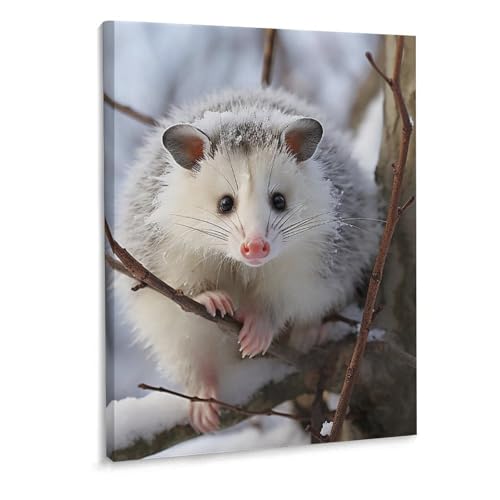 Toile murale Opossum encadrée haute définition pour salon moderne