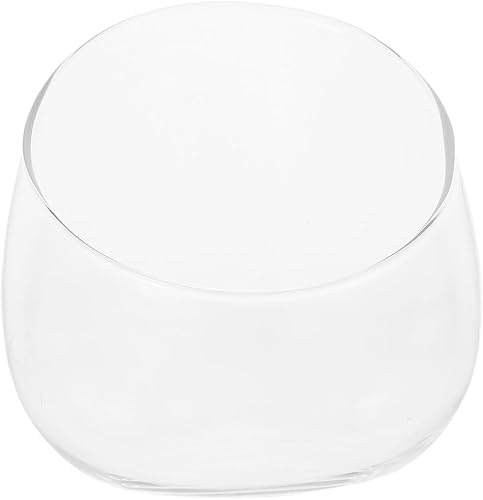Miniatura 1 de Angoily Planta transparente de terrario de vidrio de corte inclinado, cuenco de burbujas para terrario para suculentas, maceta decorativa para