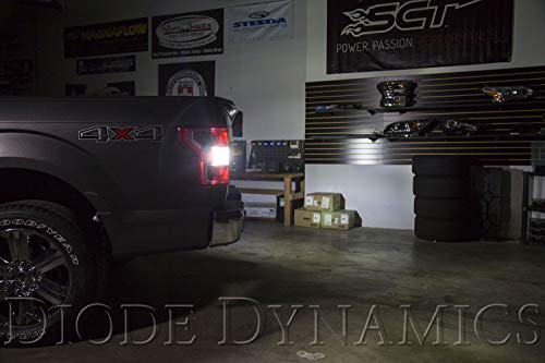 Diode Dynamics Backup LEDs para Ford F-150 2015-2023 miniatura 4