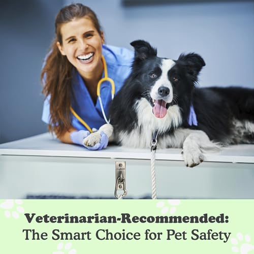 Canine Hitch- Secure Dog Leash Parking Indoor- Outdoor Wall Hook with Clip - Tie Out Stainless Steel - Practical Lead Management for Home & Business - Image 6