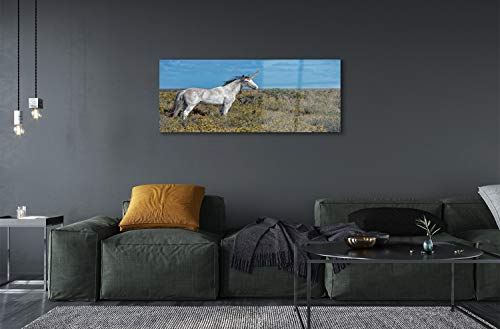 Impression sur verre acrylique 125x50cm image murale decorative salon chambre licorne