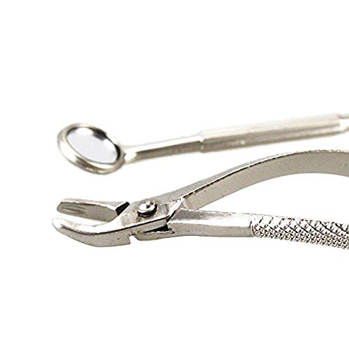 Earlywish Herramienta de la Cadena del Anillo de Dientes Cute Mirror Forceps Dentist Promo Gift 2pcs