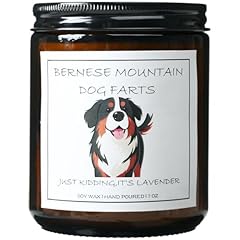 BERNESE MOUNTAIN DOG FARTS