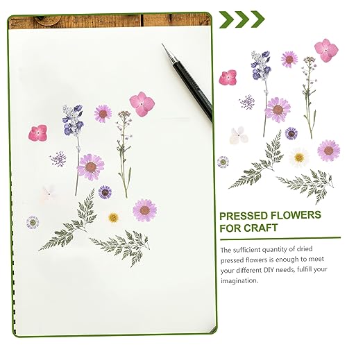 LALAFINA 1 Conjunto De Scrapbooking Livro Scrapbooks DIY Artesanato Pétalas Naturais Flores Secas De