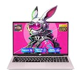 NIMO 17.3 inch Ryzen 5 6600H
