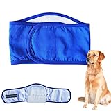TOEFIT Hundewindeln Rüde Hunde Windeln Waschbare männliche Hundeverpackung Hygienehosen für Hunde Hundeunterwäsche Waschbare Hundewindeln Rüde Windel Blue,27