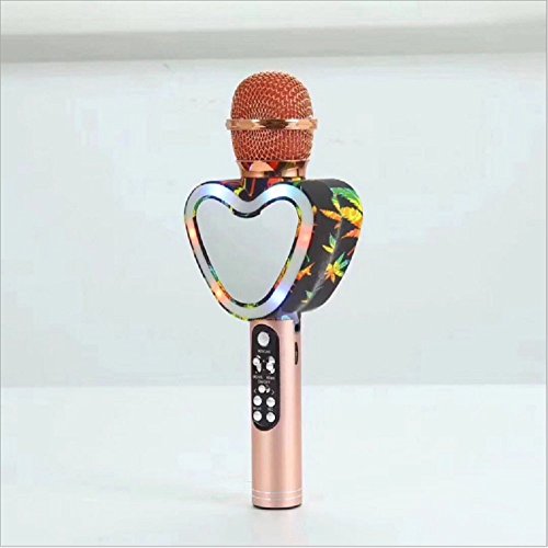 Microphone de karaoké portable en forme de cœur noir universel