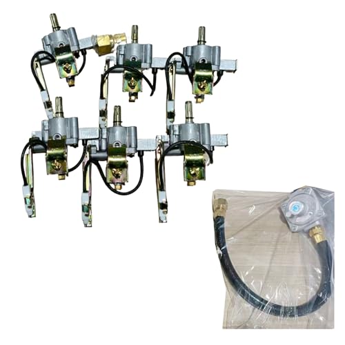 Propane to Natural Gas Conversion: Kit for Alimtois BBQ Grill Island | Premium Gas Line Adapter with Quick Connect Fittings | Safe & Durable | Requires Professional Installation