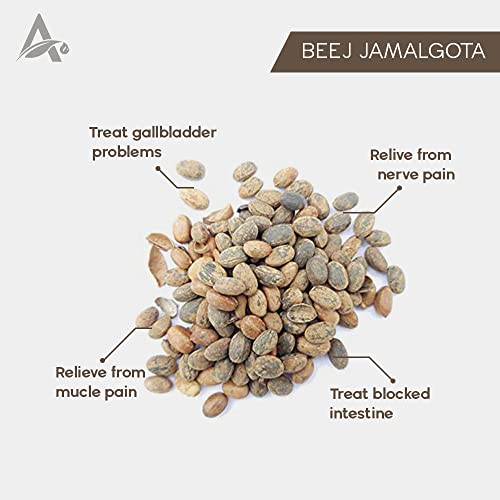 VedoMax Jamalghota Powder | Jamalghota Beej Powder | Jamalgota Beej Powder | Jamalghota/Jamalgota | jamalgota | jamalgota powder - (200 gm)