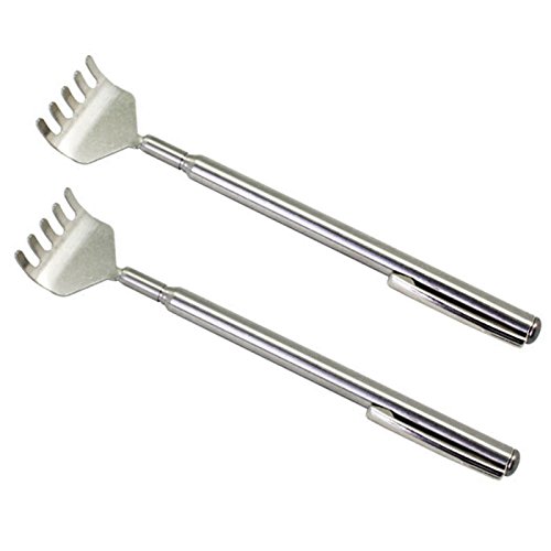 ܂̂ ܂̎ XeX ̎ Lk ߔw~uV ̂?肭gю obNXNb`[ 2{