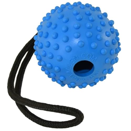 Ray Allen Ball On Rope Toy - Professional Quality Dog Training (Blue w/Loop Handle, 3