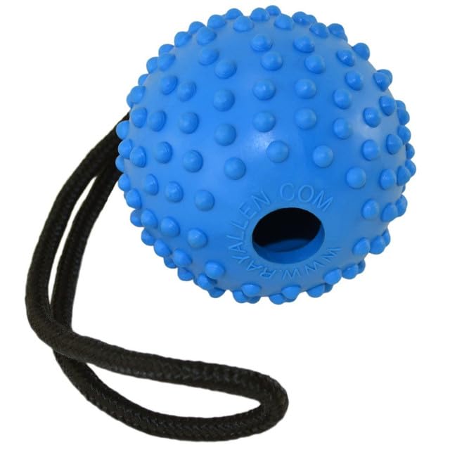 Ray Allen Ball On Rope Toy - Professional Quality Dog Training (Blue w/Loop Handle, 3")