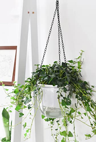 Melphoe 2 Pack Self Watering Hanging Planters Indoor Hanging Flower Pots, 6.5 Inch Outdoor Hanging Plant Pot Basket, Plant Hanger With 3Hooks Drainage Holes For Garden Home (Emerald + Transparent) #TOP3