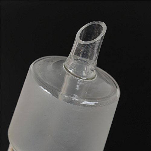 YHChem Lab Glassware 300ml 24/40 Soxhlet Extractor... – Grandado - View #13