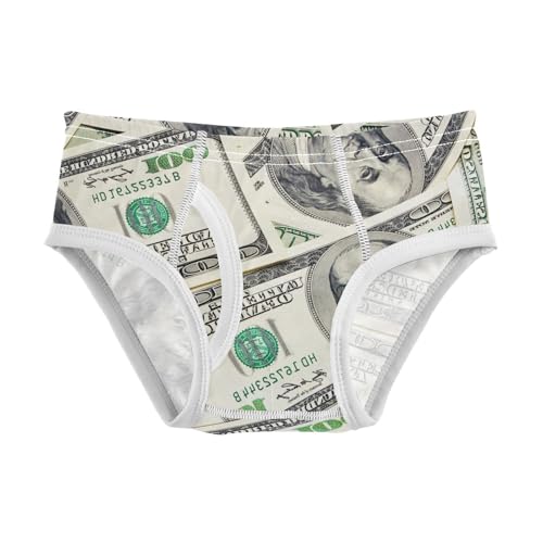 visesunny Boys Potty Training Underwear Classical Usa Dollar Printed Breathe Cotton Briefs Size 2T-8Y for Toddler