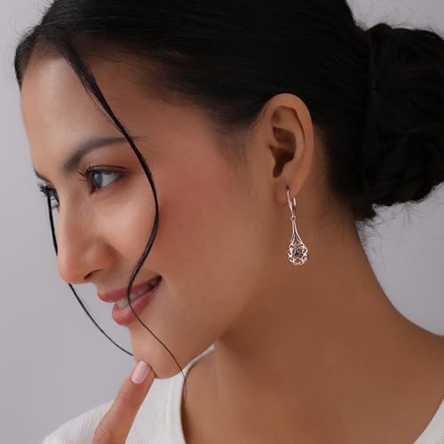 Image of TRUESILVER ACPL 925 Sterling Silver Drop Earrings for Women & Girls | BIS Hallmarked Elegant Dangle Earrings | Stylish Leverback Everyday & Gift Jewelry